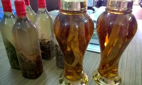 6-bai-ruou-thuoc-cuu-roi-chuyen-ay