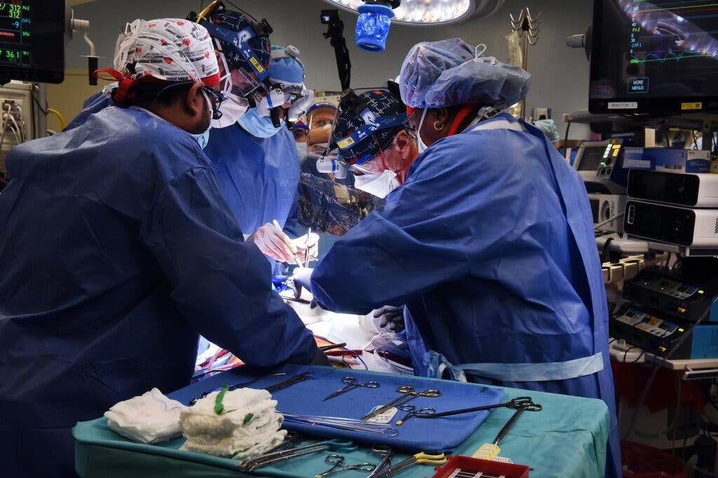Lần đầu tiên ghép thành công tim lợn cho người 1 10transplant3jumbo 1641863411 3909 1641863430