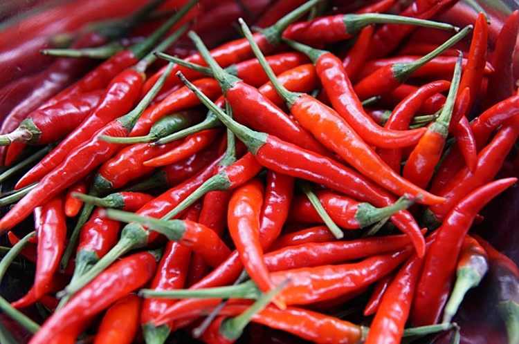 Trái ớt chữa nhiều bệnh