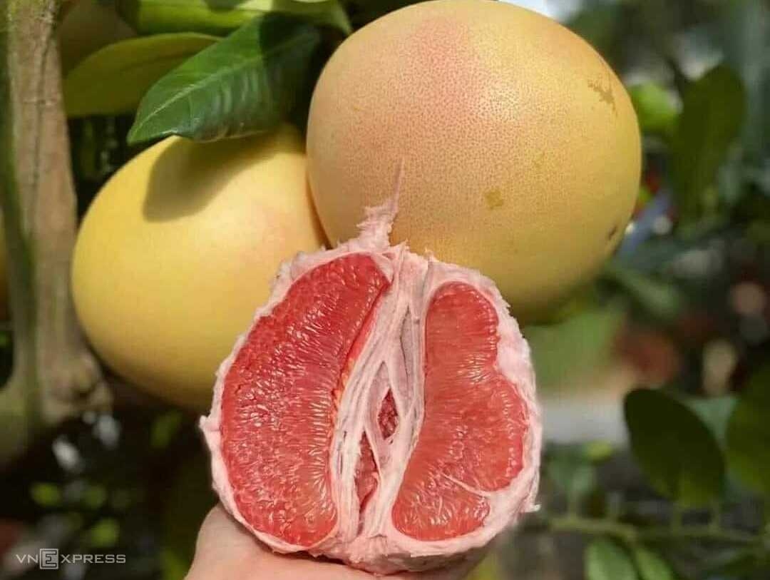 5 đồ uống làm chậm quá trình lão hóa