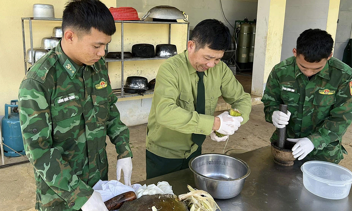 Bài thuốc dân gian từ con nhái cứu sống người ngộ độc lá ngón