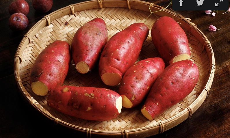 Ăn khoai thay cơm được không?