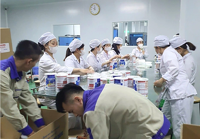 Tại sao sữa giả bán công khai nhiều năm không bị phát hiện?