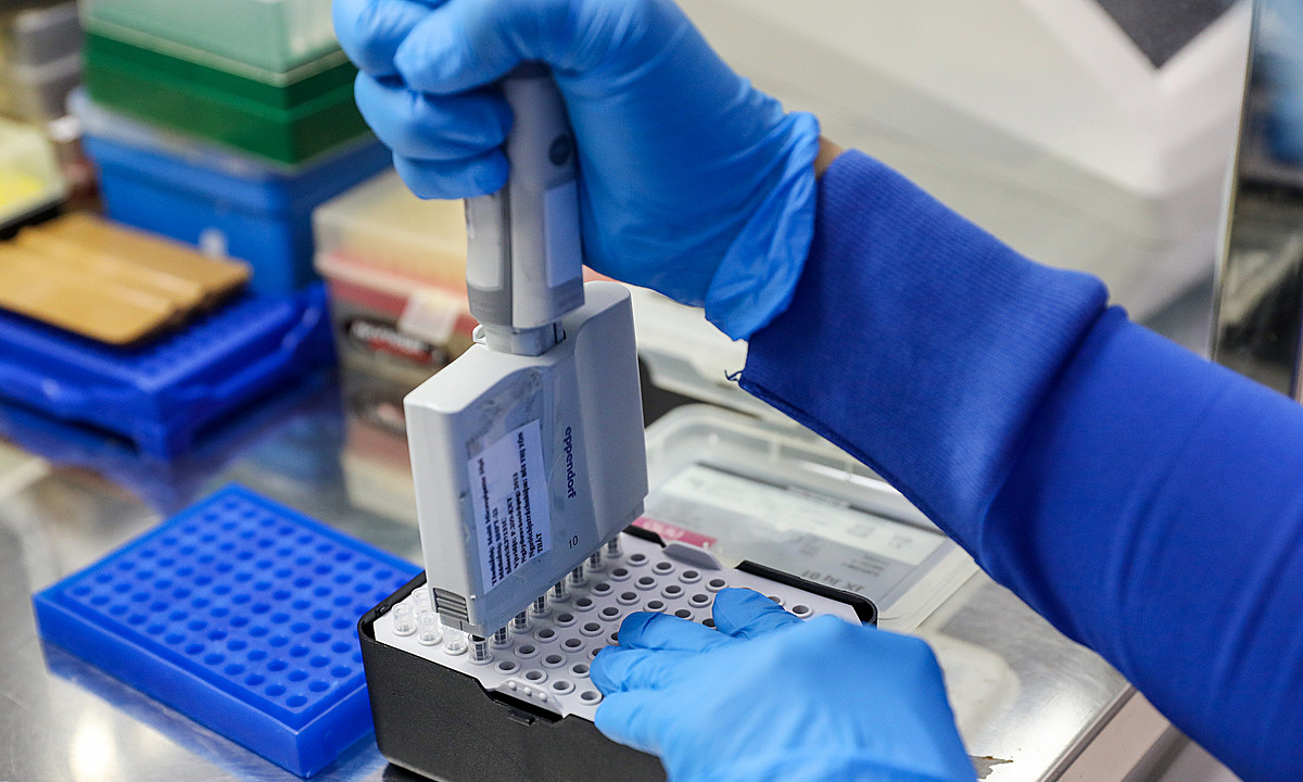 Bé gái viêm não do nhiễm cúm H5N1 sau tiếp xúc gà chết