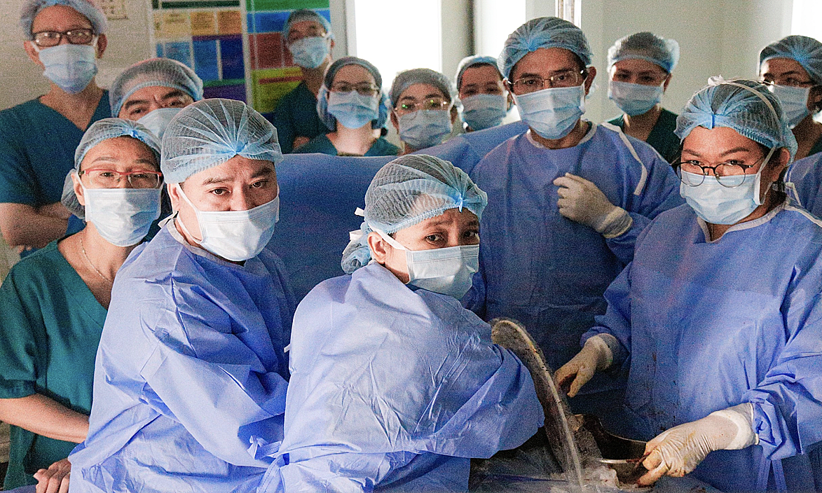 Y học bào thai - cuộc cách mạng trong kỷ nguyên mới