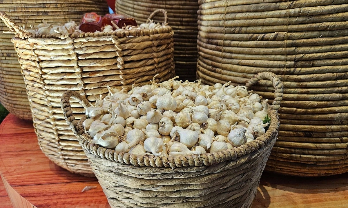 Những thực phẩm giúp giải độc, tốt cho gan