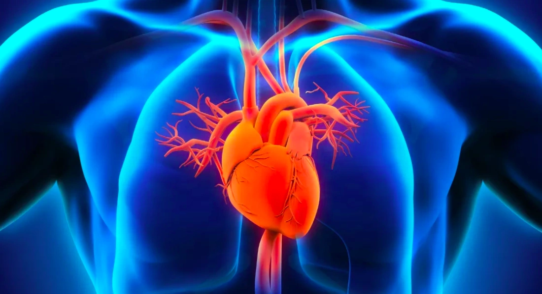 Các dấu hiệu cảnh báo nhồi máu cơ tim