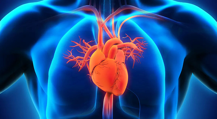 Lý do sức khỏe tưởng 'bình thường' vẫn ngừng tim đột ngột