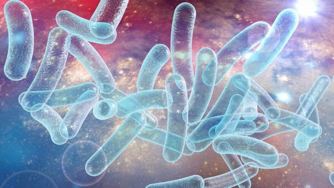 Vi khuẩn Legionnaires. Ảnh: Mayo Clinic