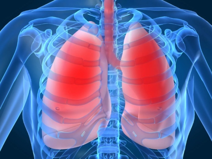 Ảnh minh họa: Reverse Health