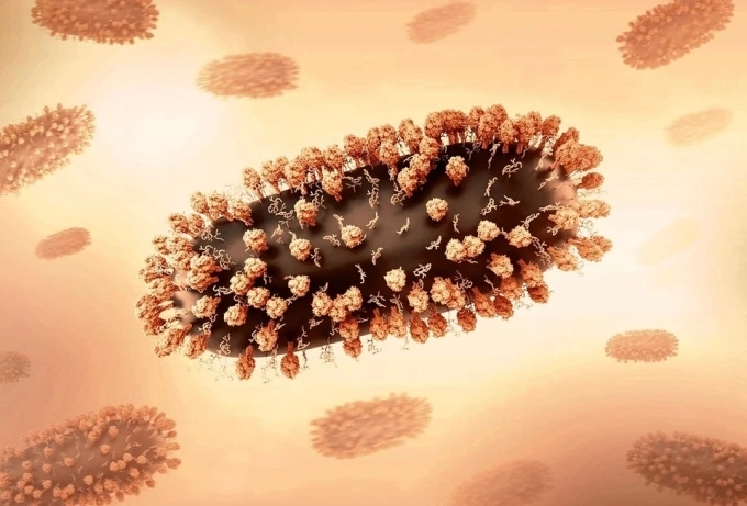 Virus RSV dễ lây lan qua đường hô hấp. Ảnh: NIAID