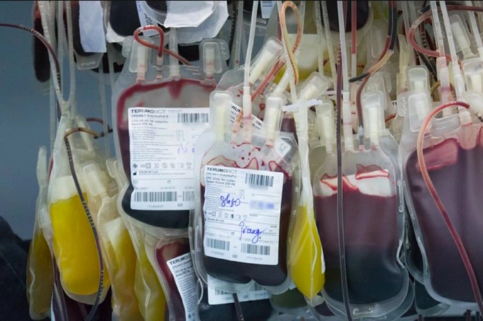 Các túi máu điều trị người bệnh.. Ảnh:Chi Lê