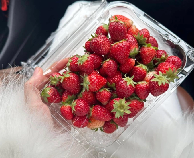 Quả dâu tây chứa nhiều vitamin C, giàu chất chống oxy hóa, rất tốt cho người mắc cúm A. Ảnh: Minh Phương