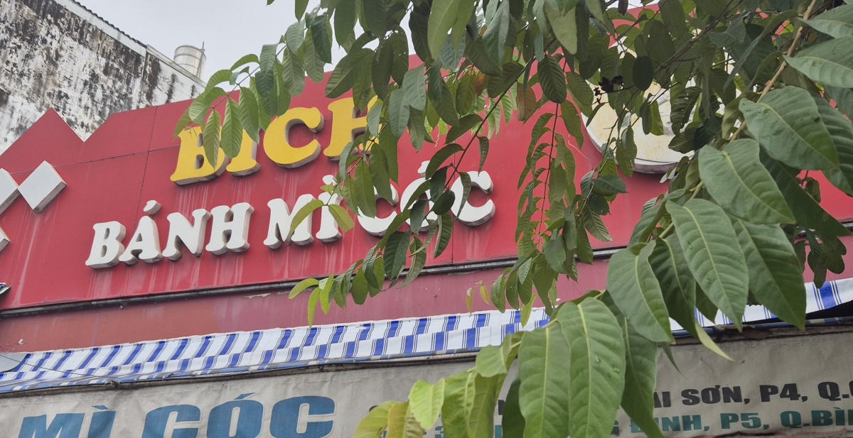 Vi khuẩn Salmonella khiến 316 người TP HCM ngộ độc sau ăn bánh mì