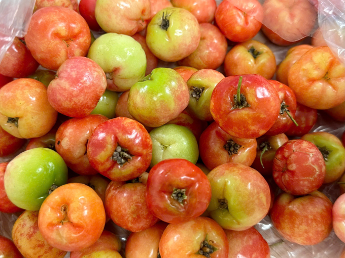 5 lợi ích khi ăn sơ ri thường xuyên Nên ăn 5-10 quả sơ ri mỗi ngày để hỗ trợ tăng cường sức khỏe. Ảnh: Trọng Nghĩa