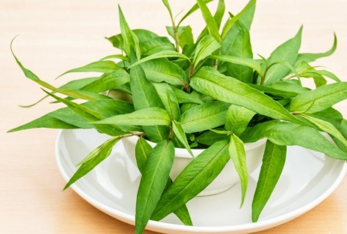 Ăn nhiều rau răm có giảm sinh lý nam? Rau răm có tác dụng hỗ trợ tiêu hóa, kháng viêm và tốt cho tim mạch. Ảnh được tạo bởi AI