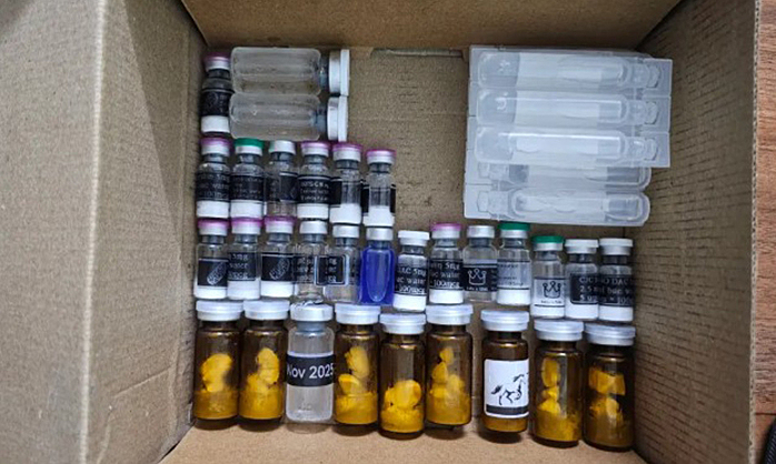 Canh bạc sinh tử sau cánh cửa phòng tắm