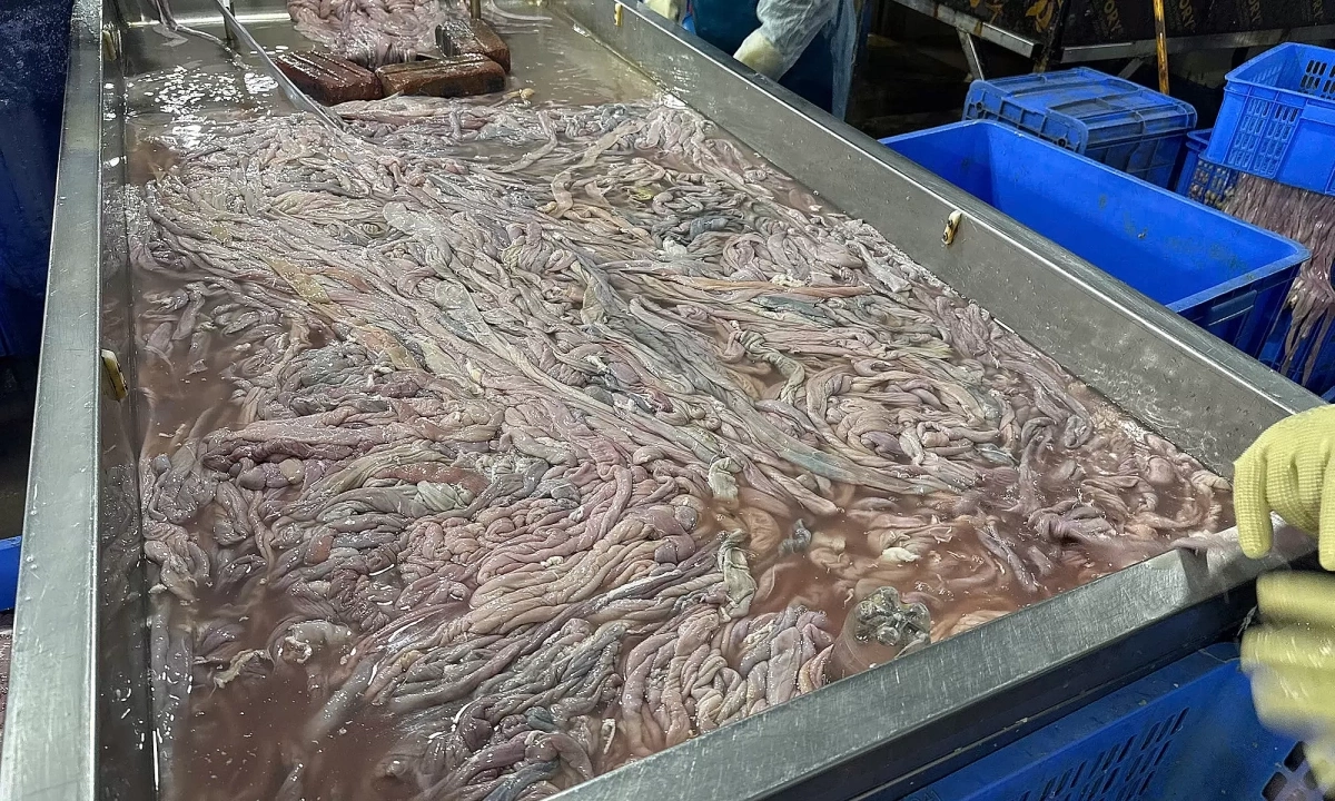 "Lòng lợn cấp đông bốc mùi" - ổ vi khuẩn tấn công hệ tiêu hóa