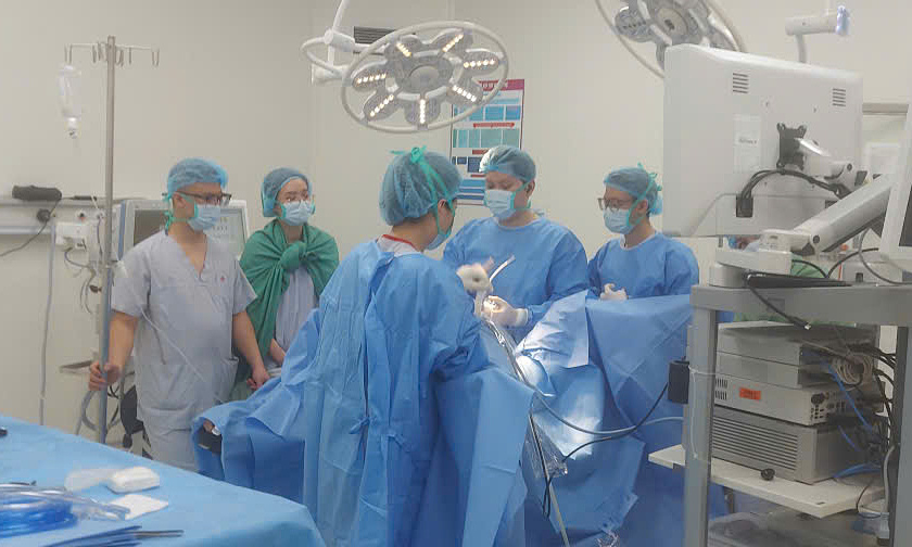 Vợ chồng trọng thương do bị trâu húc trên đường về quê ăn Tết