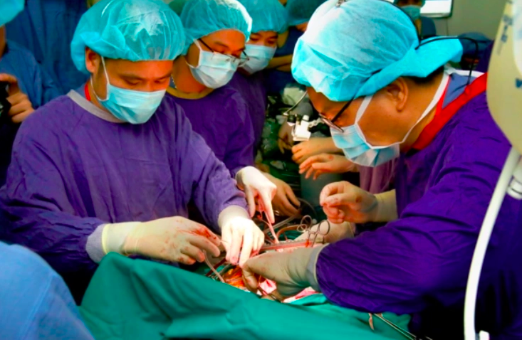 Bộ Y tế siết quy trình ghép tạng sau vụ mua bán lá gan 1,5 tỷ đồng