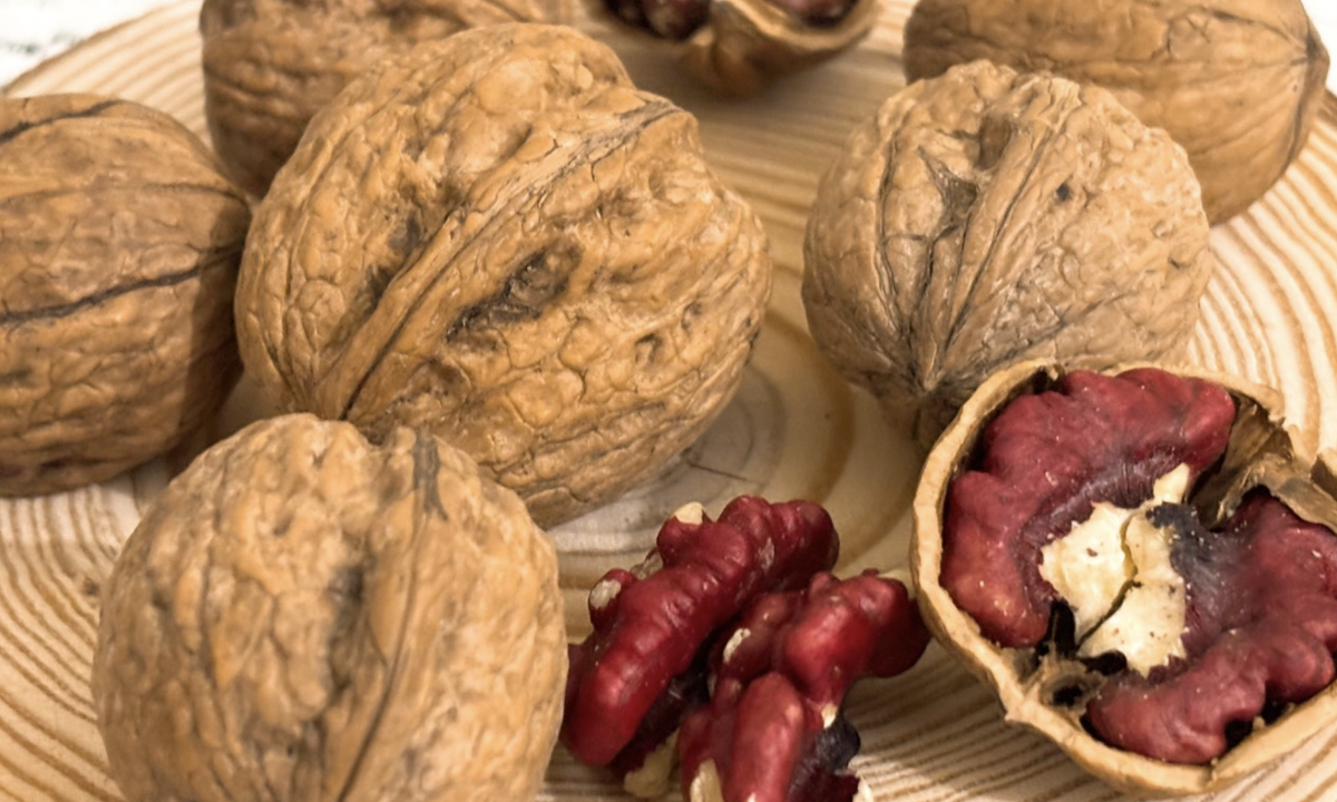 Vì sao nên ăn hạt óc chó thường xuyên?