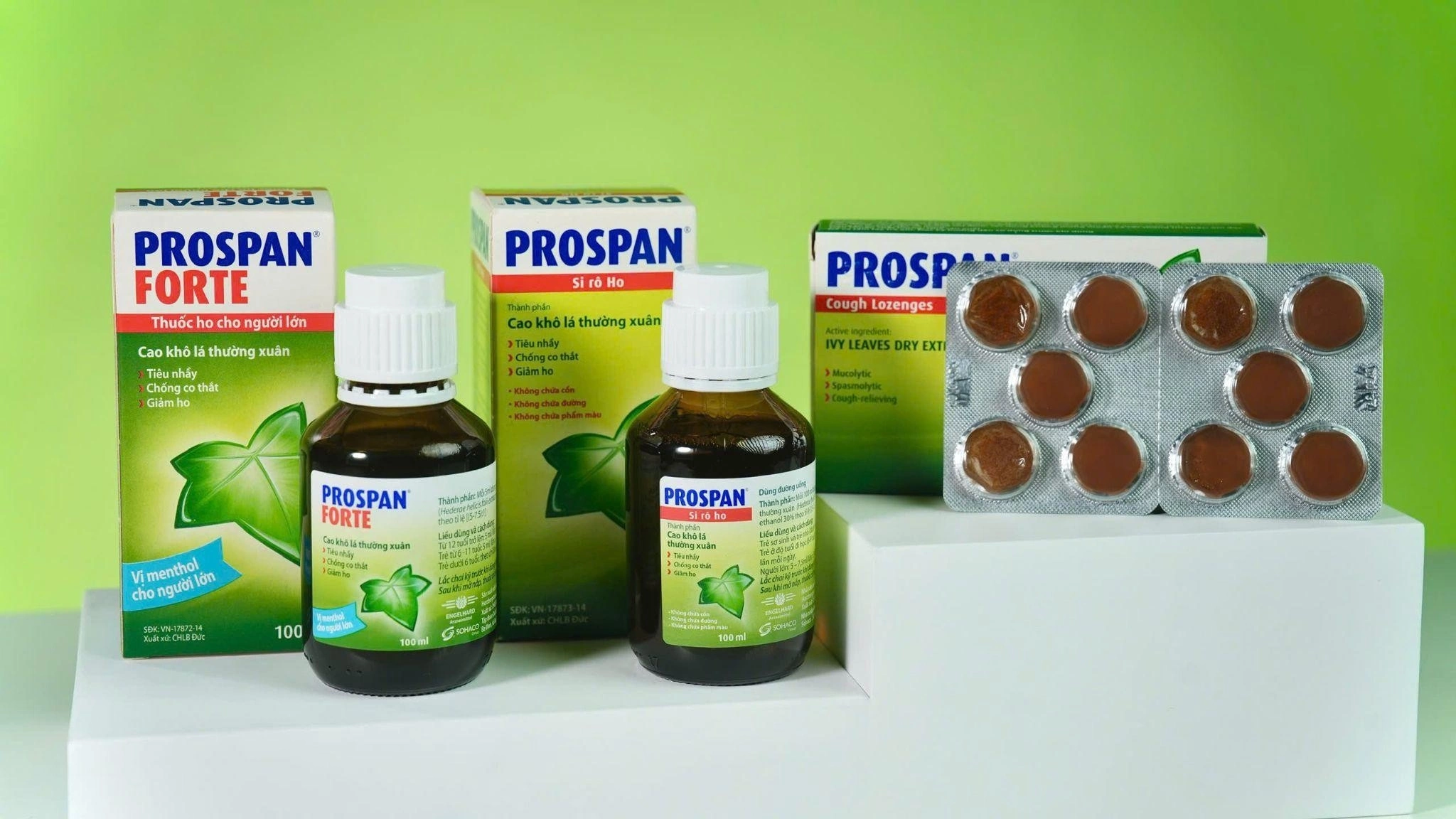 15 năm Prospan đồng hành cùng hàng triệu gia đình Việt - 3