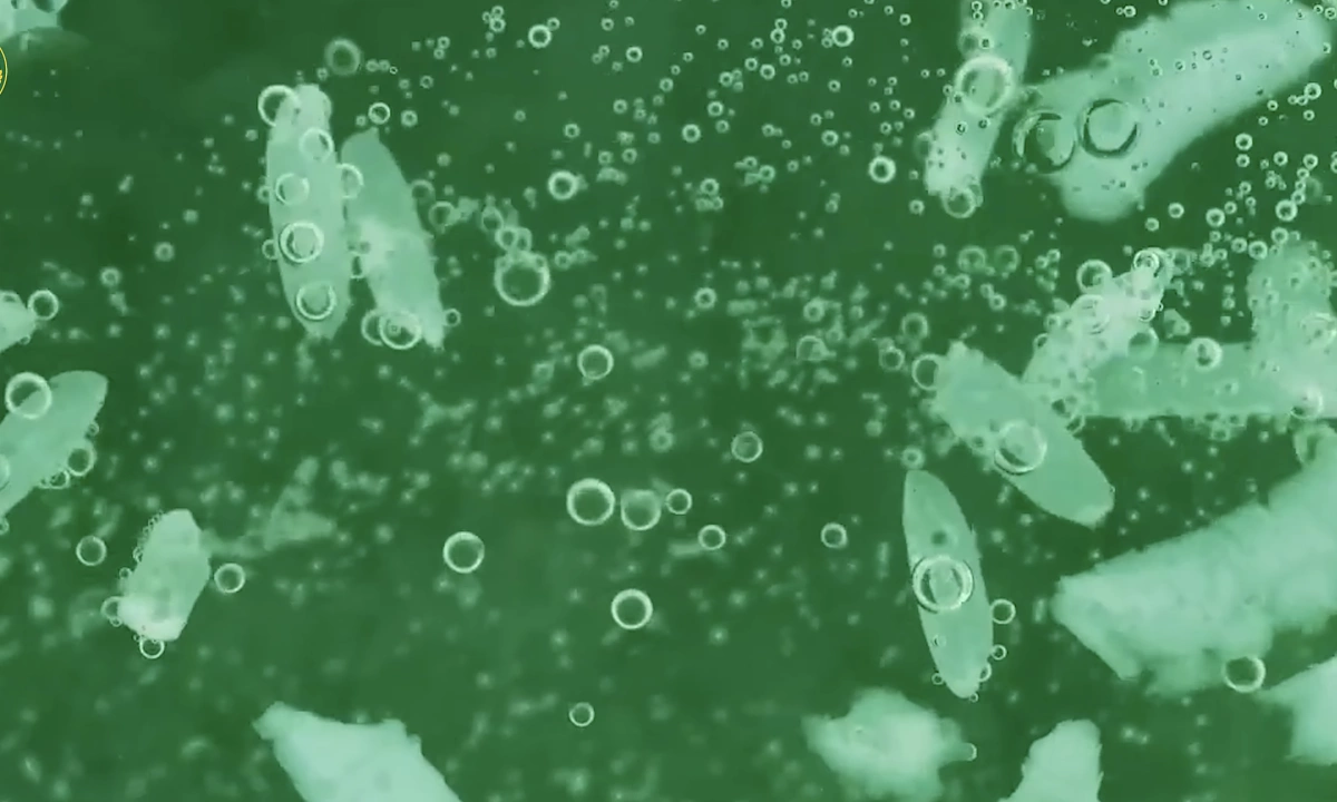 Người đàn ông mất cánh tay do nhiễm 'vi khuẩn ăn thịt'