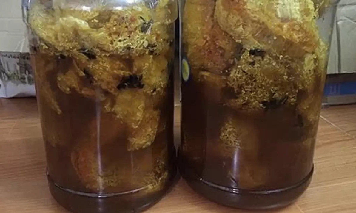 Đau xương khớp có nên uống rượu thuốc?