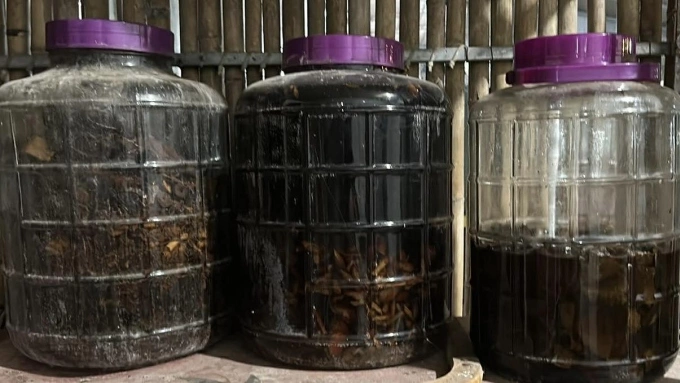 Mọi người không nên tự ý ngâm rượu, tránh nguy cơ ngộ độc, tổn thương đa cơ quan. Ảnh: Thu Hiền