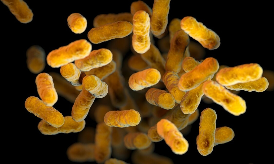 Vì sao cần phòng ho gà cho trẻ khi thời tiết giao mùa?