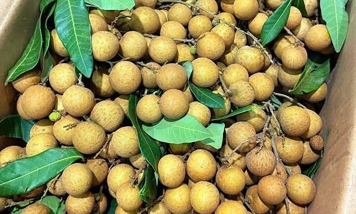 Sai lầm thường gặp khi ăn nhãn