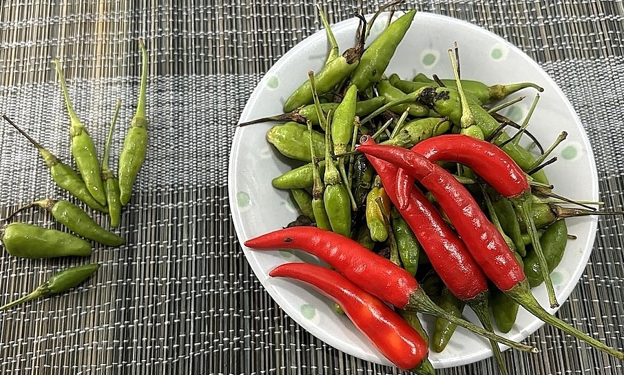 Thường xuyên đi vệ sinh sau khi ngủ dậy cảnh báo bệnh gì?