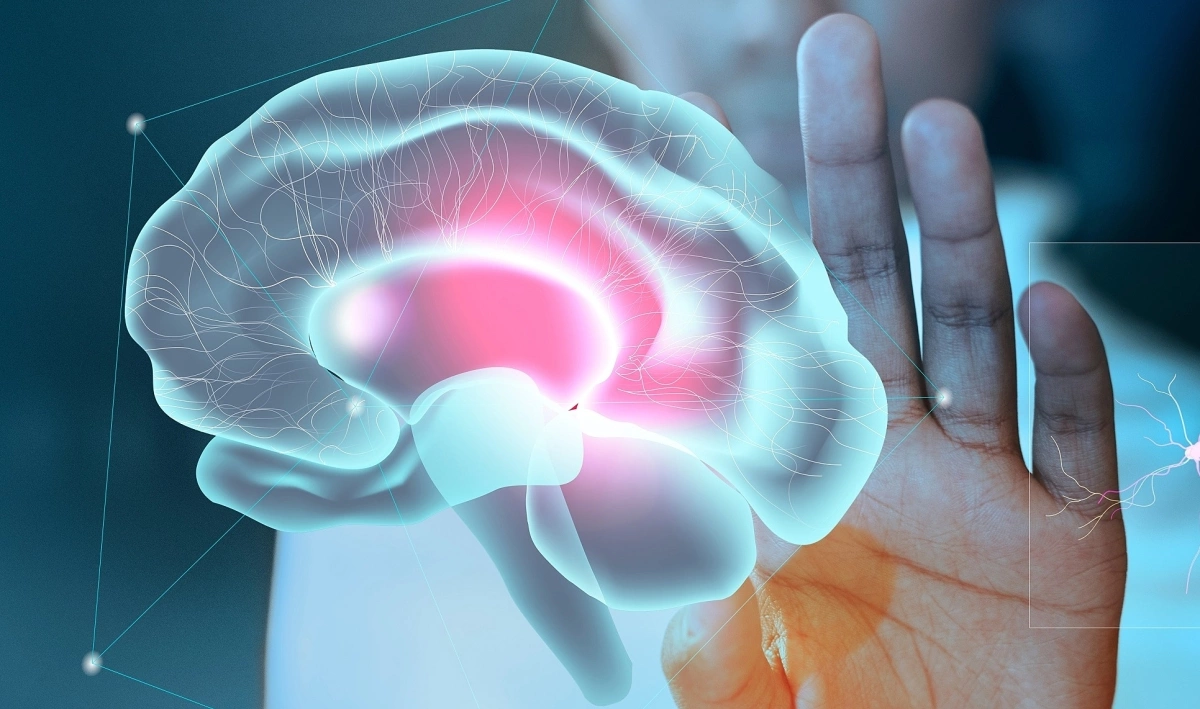 Chất xám trong não liên quan gì đến chứng mất trí nhớ?