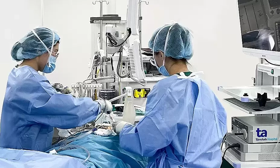 Tưởng u vòm hóa áp xe