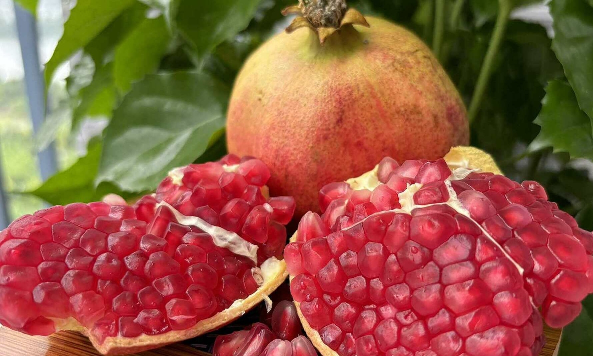 Điều gì xảy ra với gan khi ăn lựu thường xuyên?