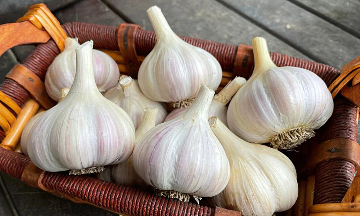 Loại gia vị quen thuộc với người Việt hỗ trợ giảm nguy cơ 4 loại ung thư