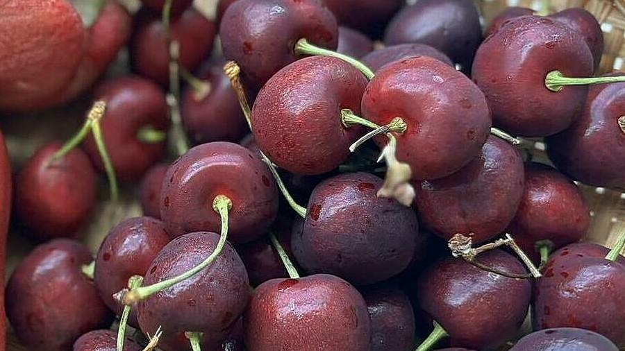 Ăn gì tốt cho gan?