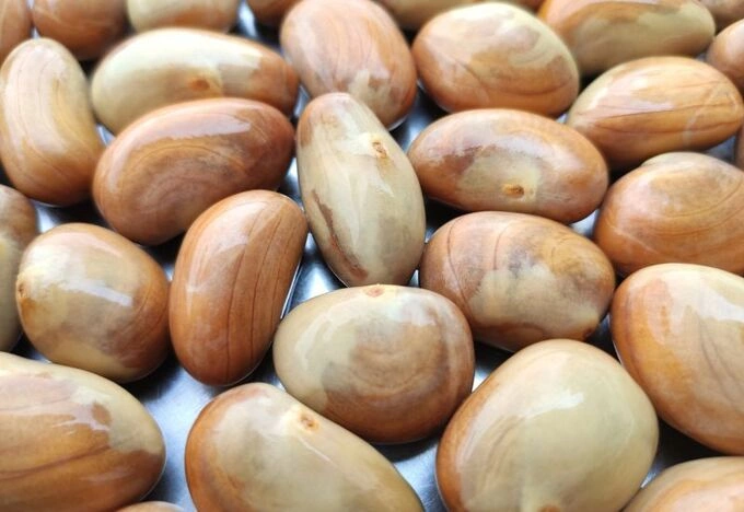Ảnh minh họa: Health
