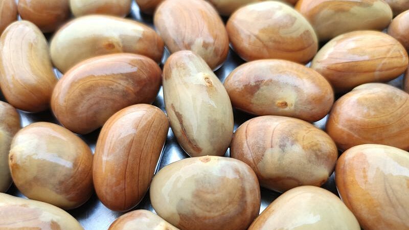 Ăn hạt mít gây bốc hỏa?