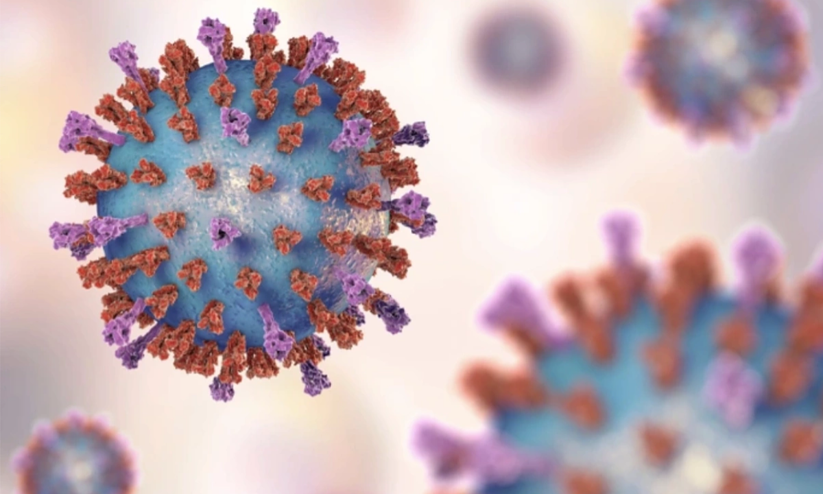 Virus RSV - 'kẻ kích hoạt' cơn đau tim, đột quỵ ở người có bệnh nền