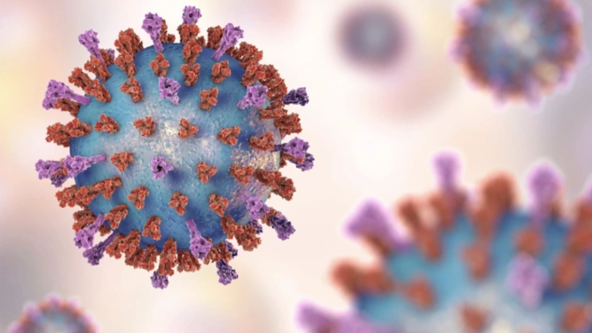 Virus RSV - 'kẻ kích hoạt' cơn đau tim, đột quỵ ở người có bệnh nền