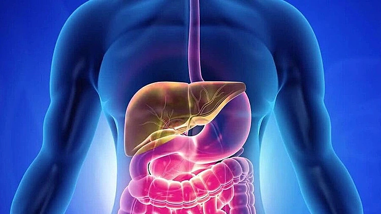 Men gan tăng gấp 20 lần, phải cắt túi mật vì thuốc giảm cân
