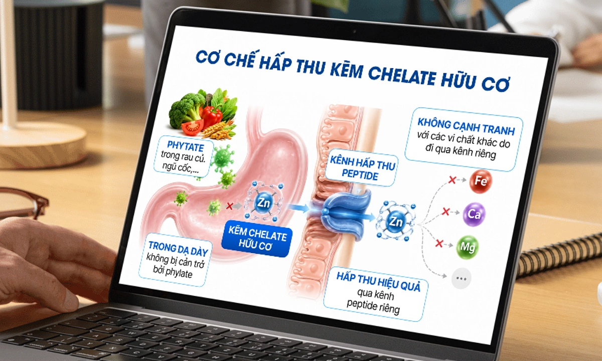 Kẽm chelate hỗ trợ tăng hấp thu vi chất kẽm