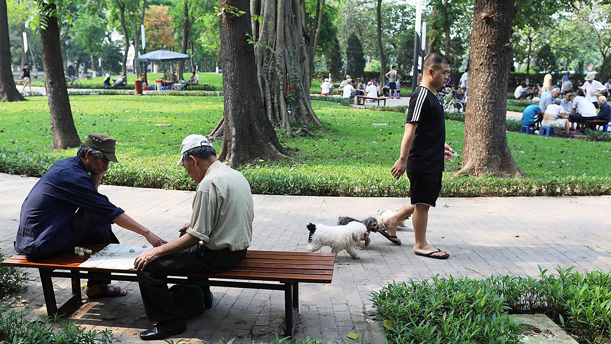Vì sao số ca dại tăng?