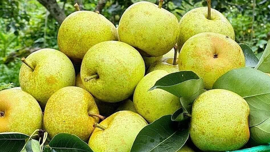 4 việc nên làm thường xuyên giúp giảm nguy cơ đột quỵ