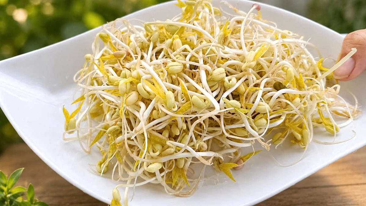 5 lợi ích khi ăn giá đỗ vào bữa sáng