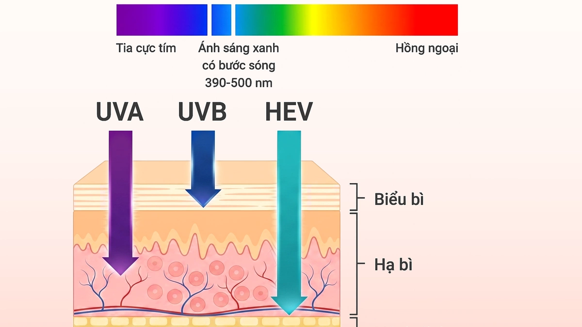 Vì sao ít tiếp xúc ánh nắng vẫn sạm da?