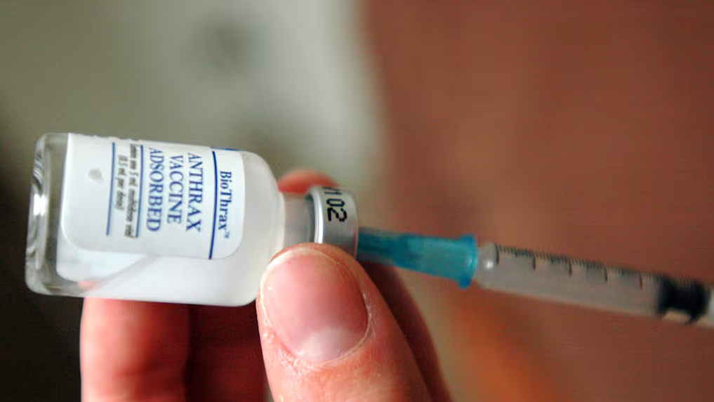 Cách Louis Pasteur thử nghiệm vaccine phòng bệnh than