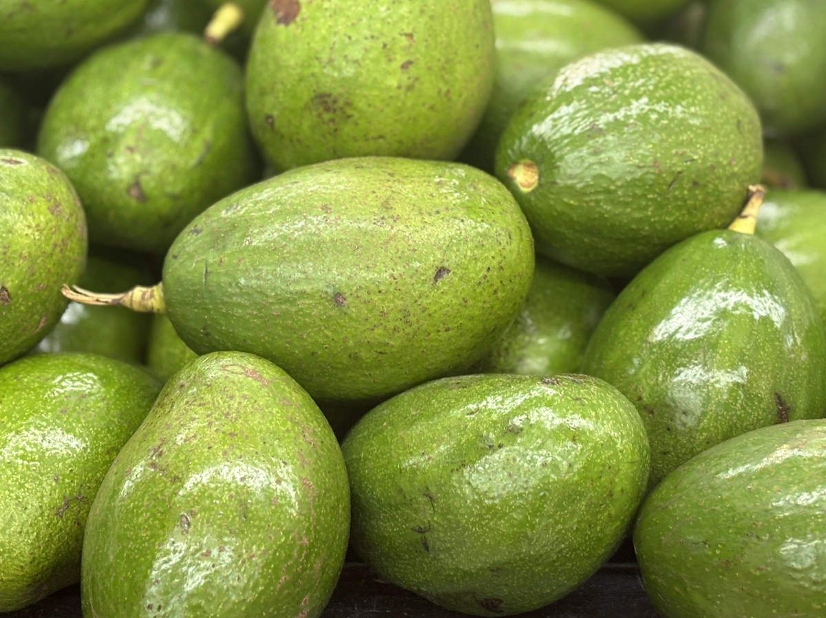5 món giàu vitamin E tốt cho mắt