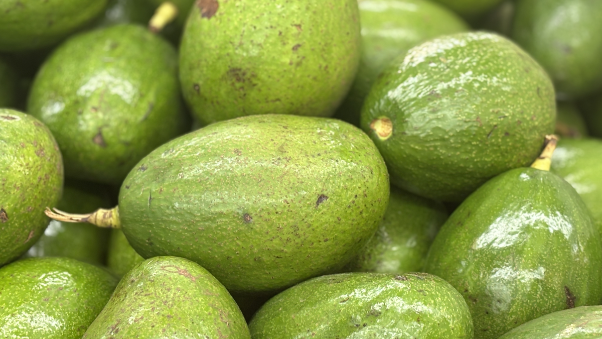 5 món giàu vitamin E tốt cho mắt